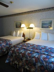 evo hotel tahoe city