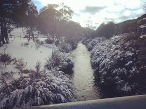 thredbo