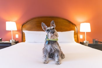 doubletree by hilton cariari san jose costa rica