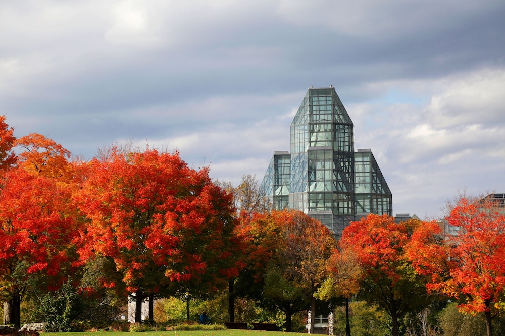 holiday inn hotel and suites ottawa kanata by ihg