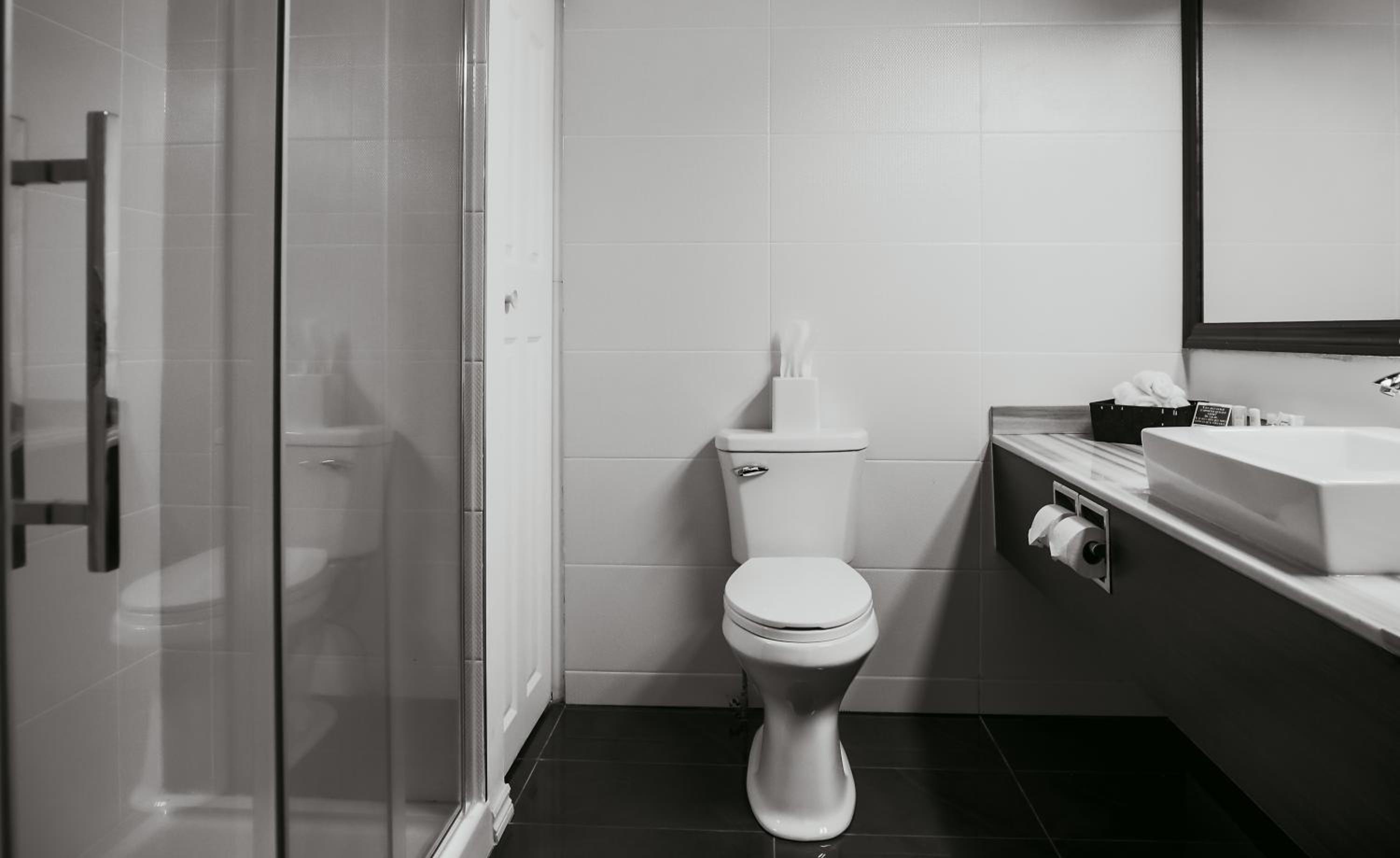 quality inn and suites gatineau