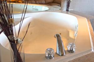 regency inn richmond