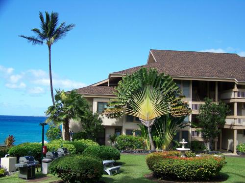 kailua kona