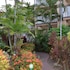 kailua kona