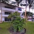 sina suites cancun solo adultos