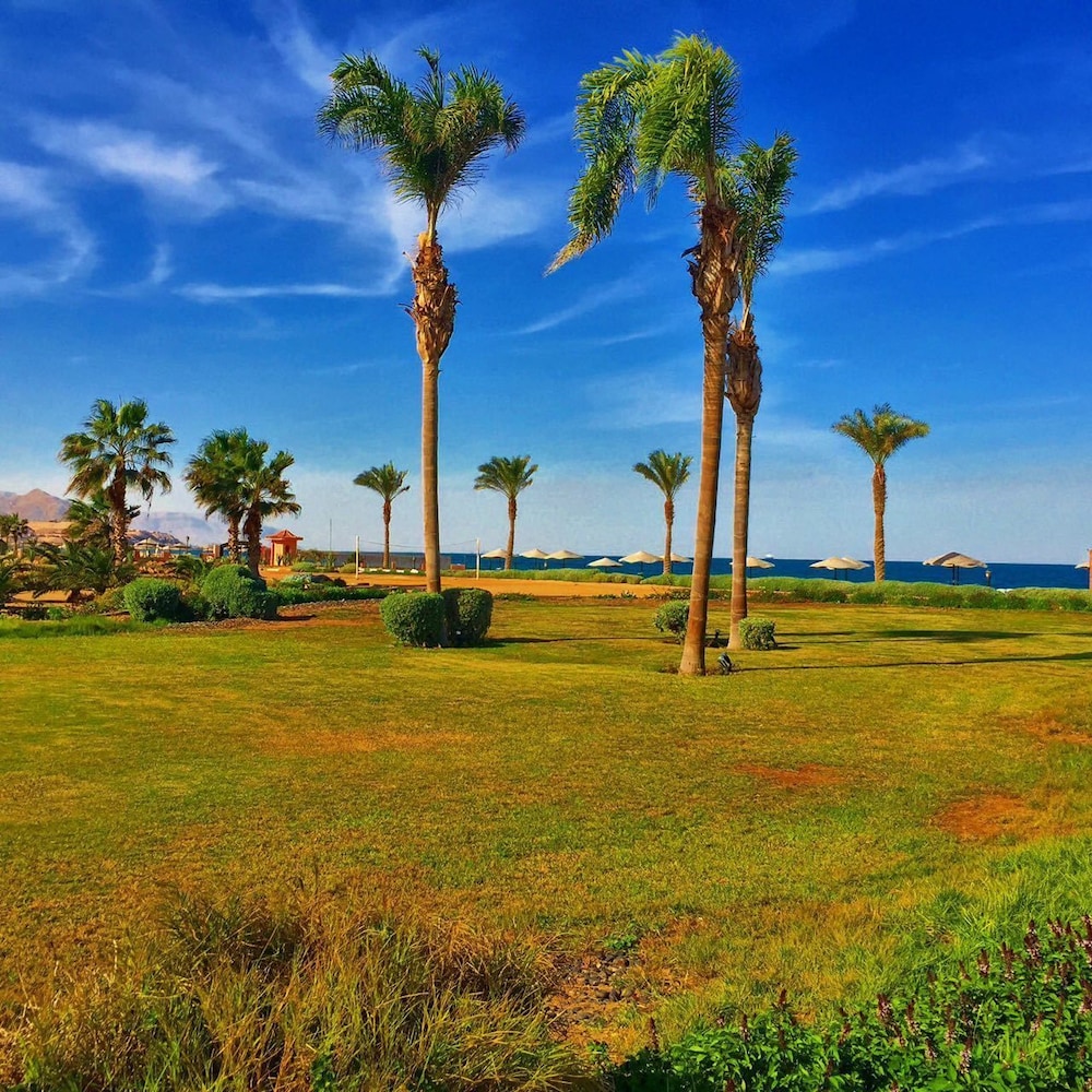 dome marina hotel and resort ain sokhna