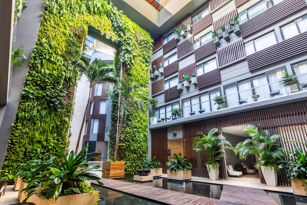 the fives downtown hotel curio by hilton