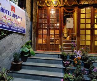 hotel apsara vegetarian