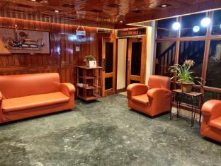 hotel apsara vegetarian