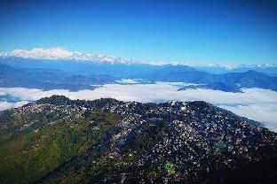 hotel apsara vegetarian