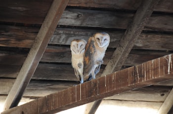 the gables wine country inn