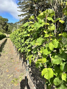 the gables wine country inn