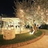castellana grotte
