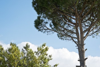 park hotel la grave