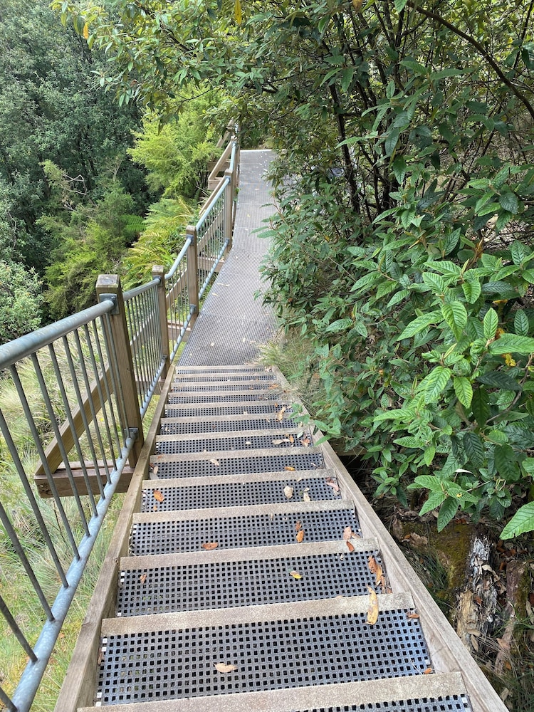 on the terrace stanley
