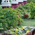 thazin garden hotel