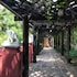thazin garden hotel