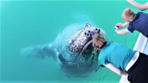 tower court motel adults only haven