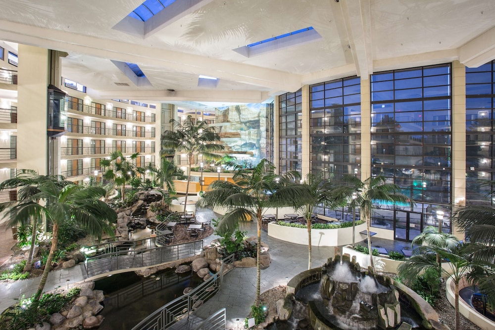embassy suites by hilton phoenix biltmore