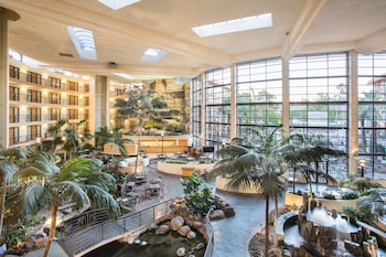 embassy suites by hilton phoenix biltmore