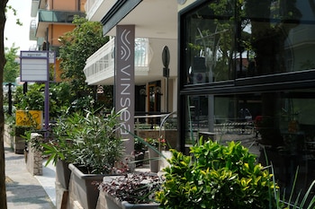 bellaria igea marina