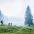 seefeld in tirol