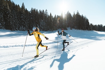 seefeld in tirol