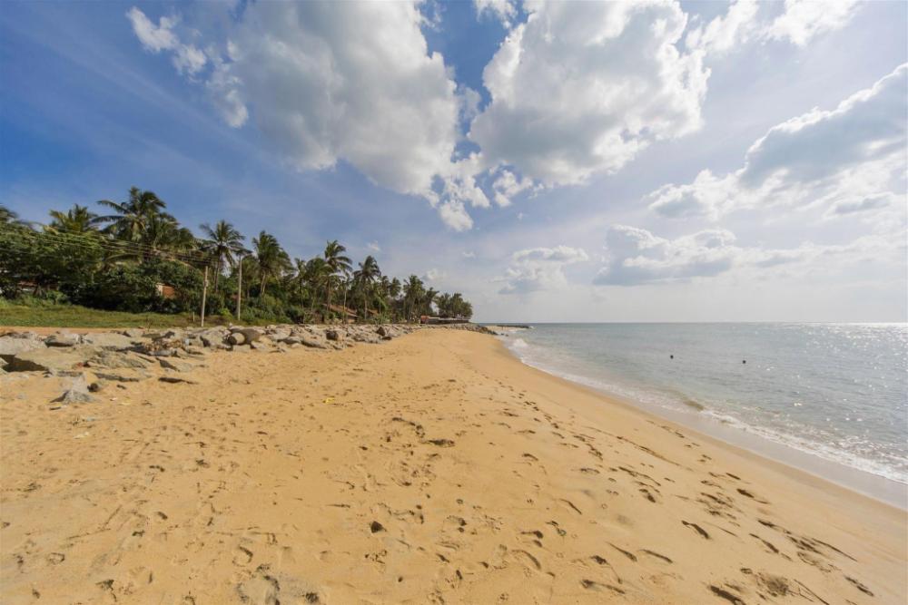 the beach apartments