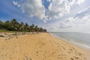 the beach apartments