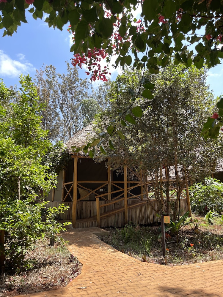 rhotia valley tented lodge and childrens home