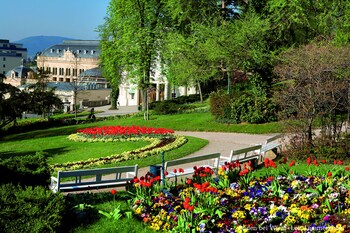 at the park hotel