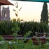 san miguel de allende