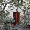 san miguel de allende
