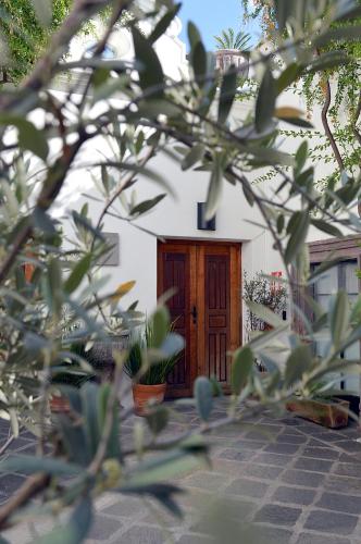 san miguel de allende