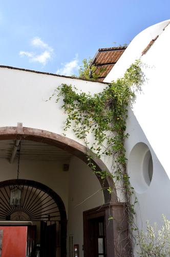 san miguel de allende