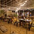 sunset cafe beach stay