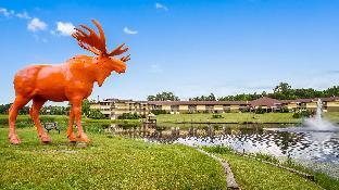 Surestay Plus Hotel By Best Western Black River Falls,Jackson>>Black River Falls,3 star