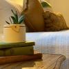 hanlon guest house