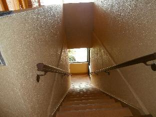 americas best value inn and suites griffin