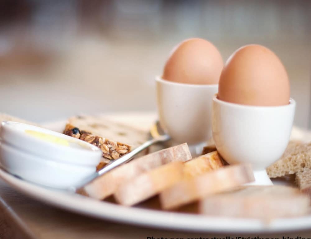 ibis guadalajara expo
