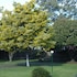 bairnsdale