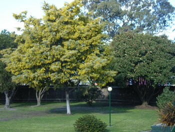 bairnsdale