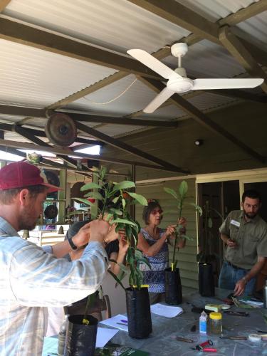 rossmount rural retreat