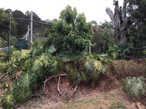 rossmount rural retreat