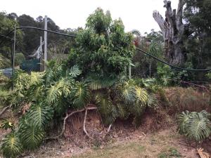 rossmount rural retreat