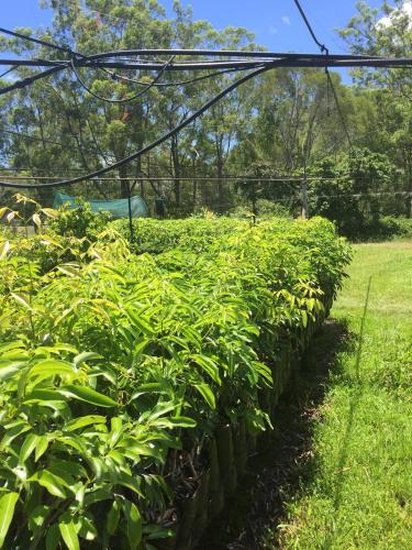 rossmount rural retreat