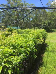 rossmount rural retreat