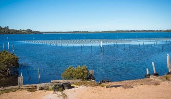 top of the lake units
