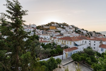 hydra