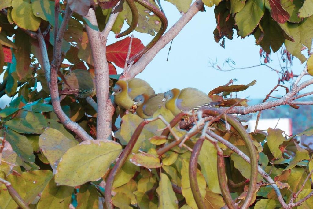 Acme  Inn,New Delhi>>Delhi,5 star